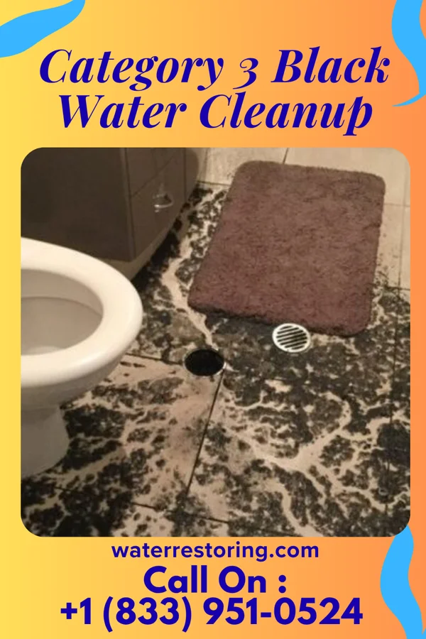 Category 3 Black Water Cleanup in Addyston, OH