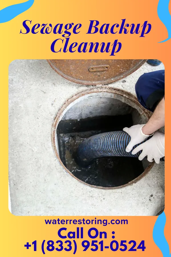 Sewage Backup Cleanup in Addyston, OH